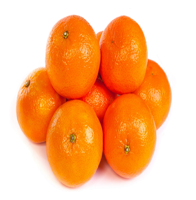 fresh orange buyers fresh mandarin orange for sale wholesale delicious sweet fresh citrus oranges for sale