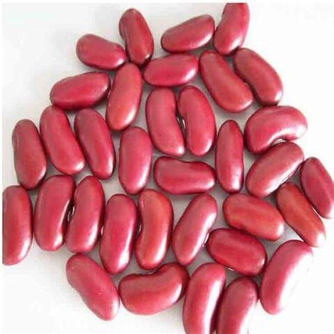 Light Speckled Kidney Beans /Pinto Beans/Sugar Beans