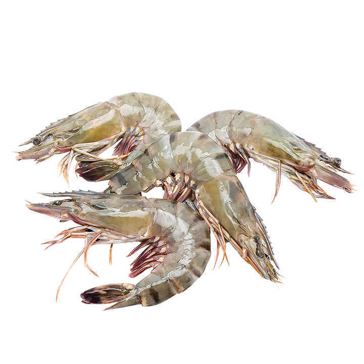 Wholesale price 2024 sale Seafood IQF Frozen Black Tiger Shrimp Fresh