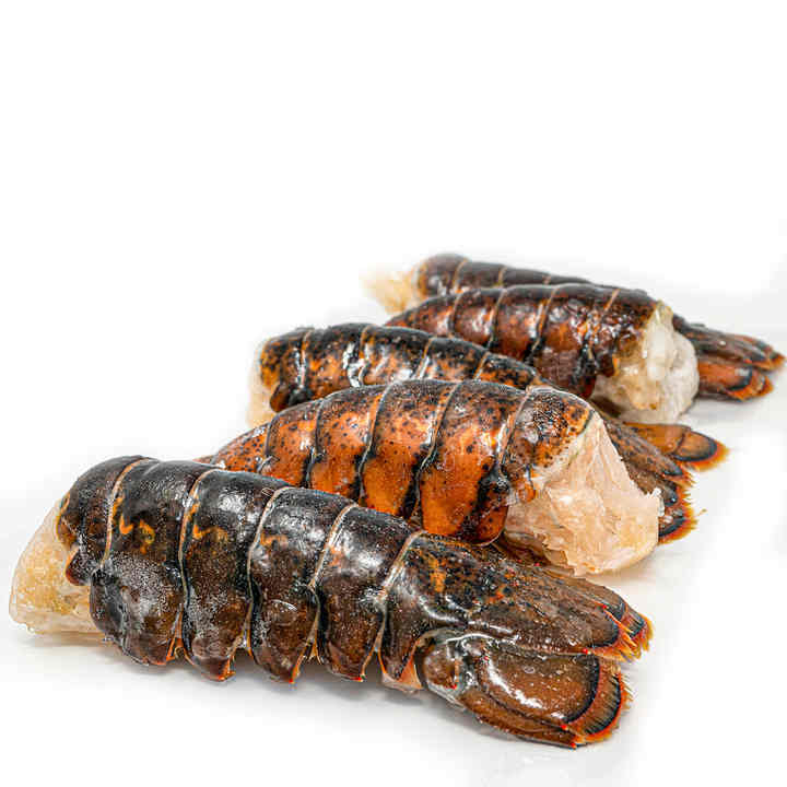 TOP QUALITY FROZEN HEAD ON SHELL ON BLACK TIGER SHRIMP FROM