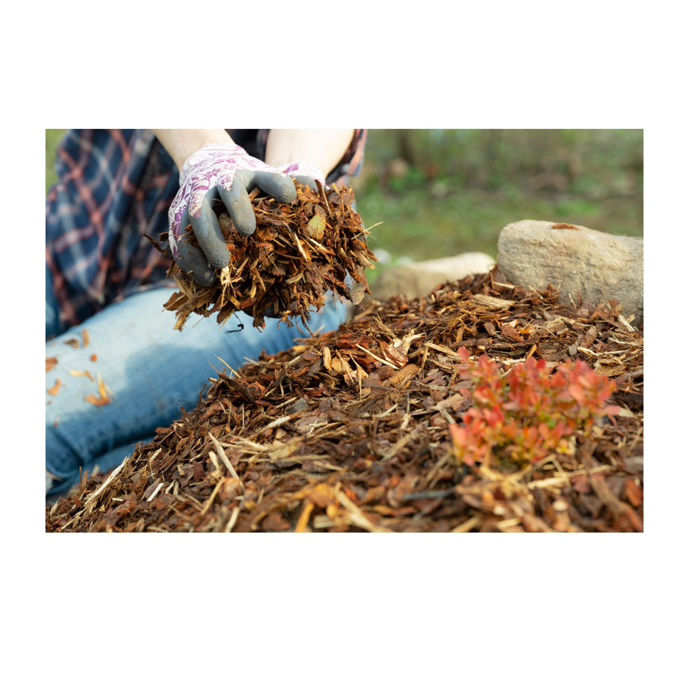 Wholesale Pine Bark Chip Planted Trees Natural Pine Bark Nugget Wood Supplement Mulch