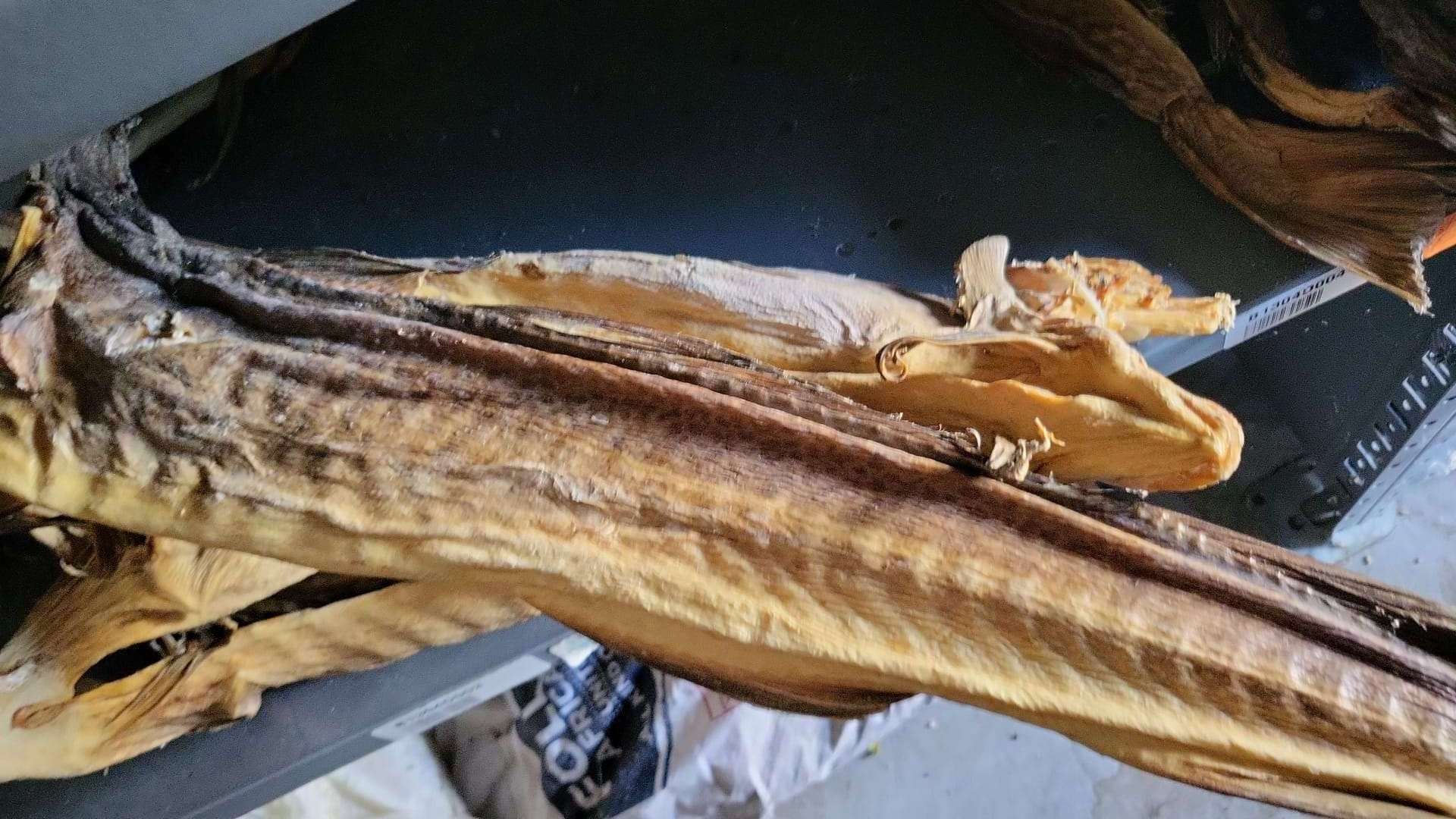 High Quality Grade A Dried Norway StockFish / Stock Fish for Sale Dry Stock Fish Norwegian Hard stockfish Steak, Cod Fish