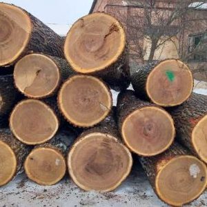 wood logs IROKO/rosewood/doussie/IROKO hardwood  Siberian Larch Sawn Timber Logs For Sale