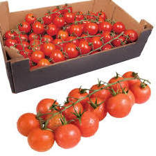 Frozen Fresh Cherry Tomatoes Price Fresh tomatoes Fast Shipping high Quality tomatoes Plum and Cherry Red High Quality Exporting