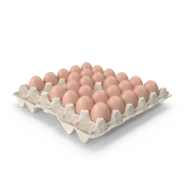 Direct Paultry Price Fresh Table Eggs and Fertilized Broiler Chicken Eggs Cobb 500/Cobb 700 Fertile eggs Ready for Export