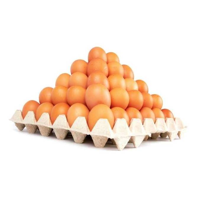 Direct Paultry Price Fresh Table Eggs and Fertilized Broiler Chicken Eggs Cobb 500/Cobb 700 Fertile eggs Ready for Export