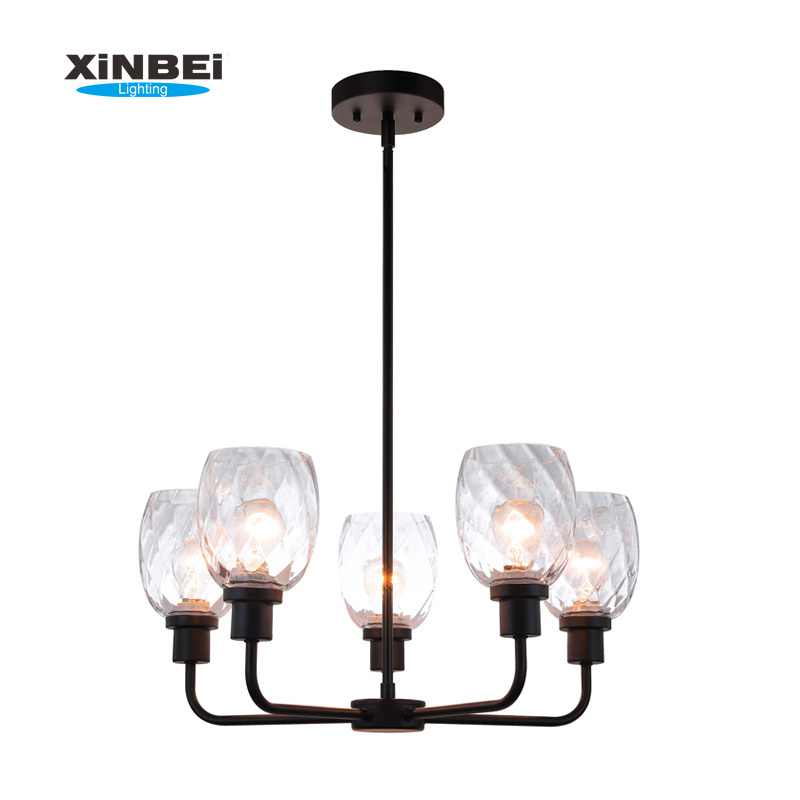 Chandelier Black Adjustable 5 Light Glass Pendant Chandelier Ceiling Lamp Fixture for Living Dining Room