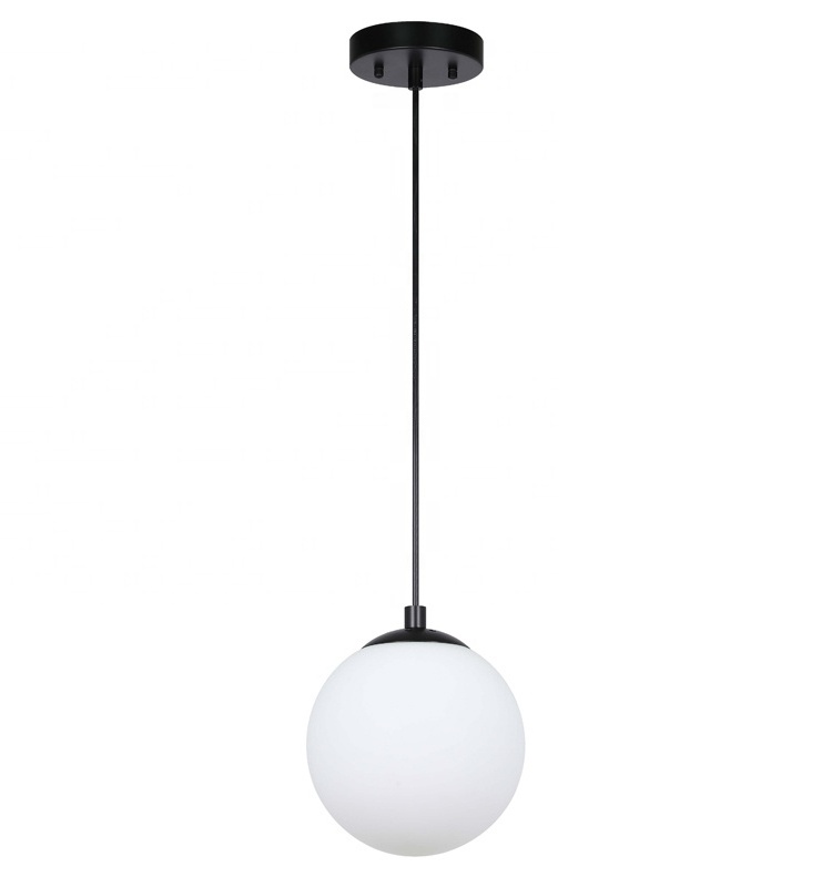 Adjustable Hanging Kitchen Pendant Lights Globe Glass Matte Black Mini Modern Pendant Light