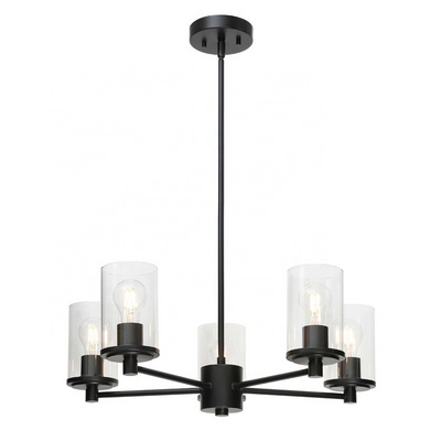 Chandelier Ceiling Light Adjustable Pendant Light 5 Light Black Iron Chandeliers with Glass for Living Room