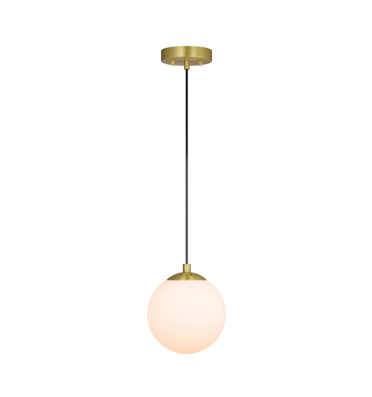 Modern 1 Light Hanging Ceiling Pendant Light, Indoor Brass Adjustable Globe Kitchen Pendant Lighting