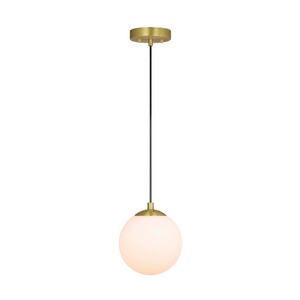 Modern 1 Light Hanging Ceiling Pendant Light, Indoor Brass Adjustable Globe Kitchen Pendant Lighting