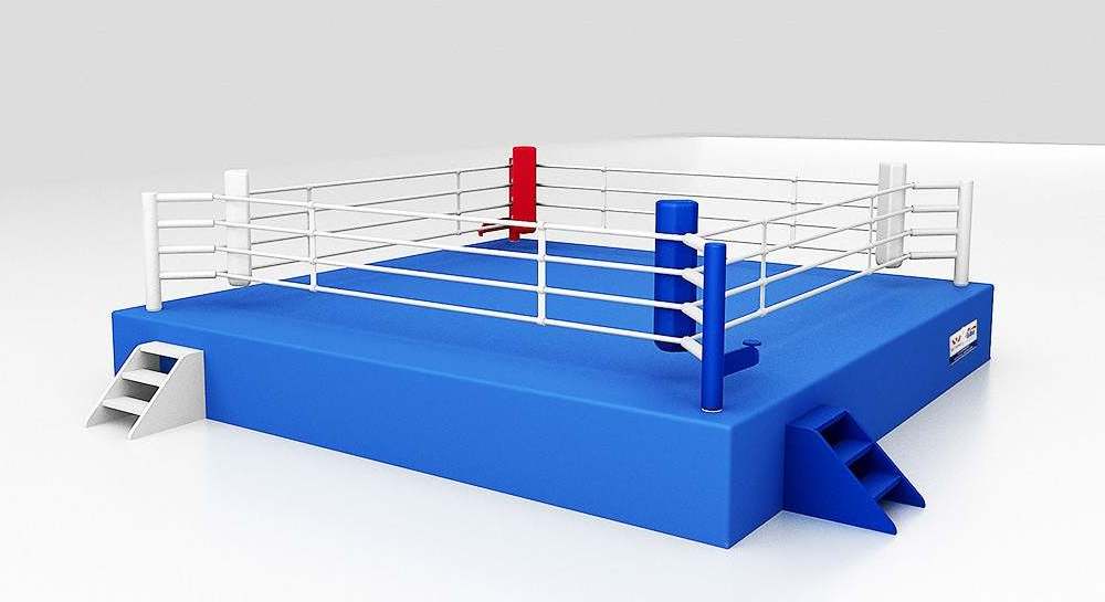 Custom Logo Professional Boxing Ring Mini 5x5m UFC Kick Boxing Ring