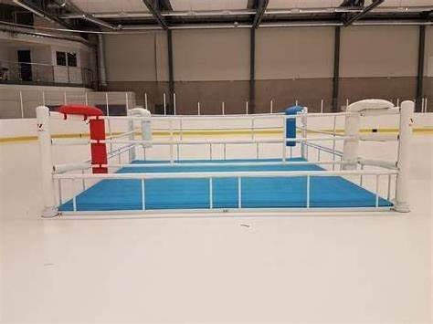 Custom Logo Professional Boxing Ring Mini 5x5m UFC Kick Boxing Ring