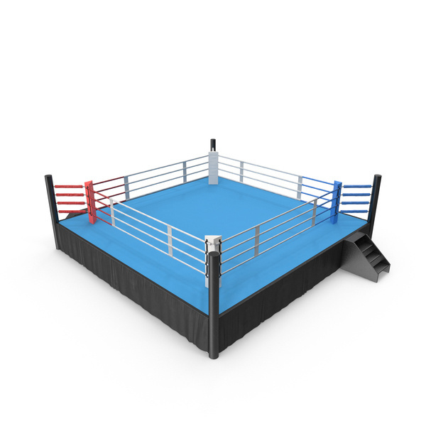 Custom Logo Professional Boxing Ring Mini 5x5m UFC Kick Boxing Ring