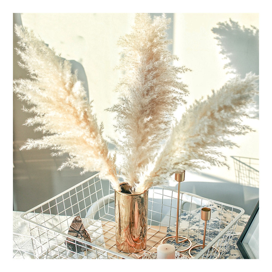 New Top Seller Pampas Grass Large Tall Fluffy Artificial Flower Decor Bulrush Reed Grass for Vase Filler Home Wedding Decor