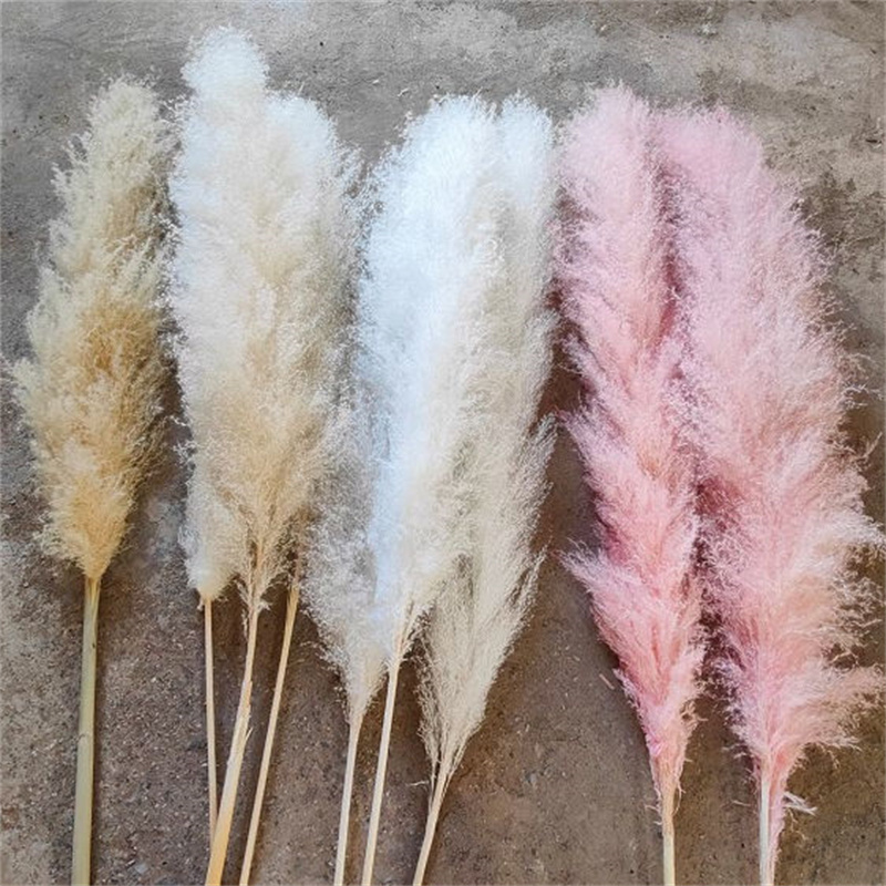 New Top Seller Pampas Grass Large Tall Fluffy Artificial Flower Decor Bulrush Reed Grass for Vase Filler Home Wedding Decor