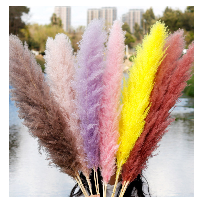 New Top Seller Pampas Grass Large Tall Fluffy Artificial Flower Decor Bulrush Reed Grass for Vase Filler Home Wedding Decor