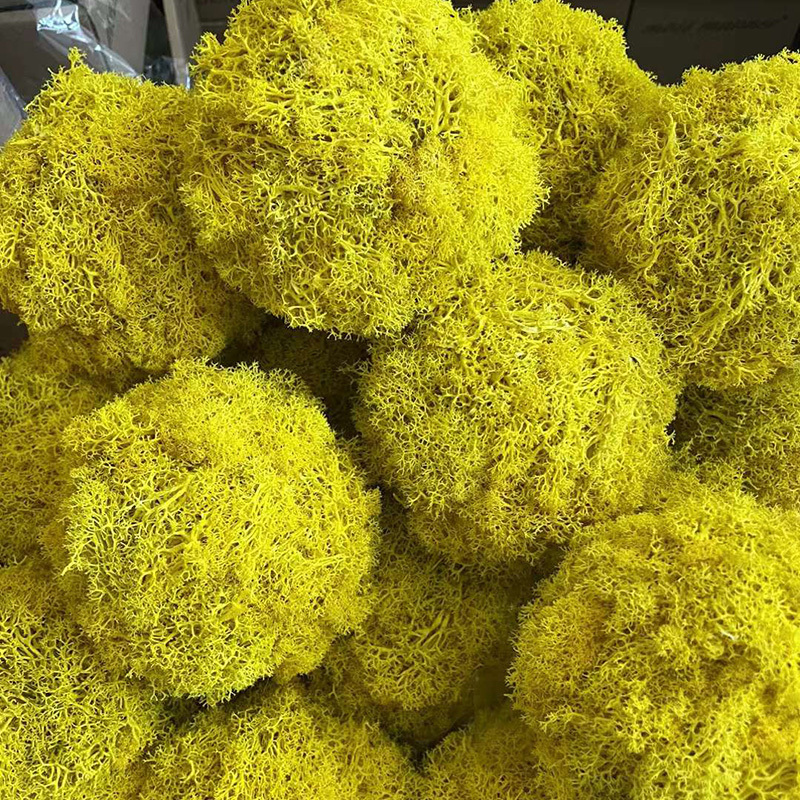 eco-friendly natural preserved reindeer moss artificial moss ball wholesale decor moss ball