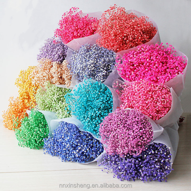 gypsophila bouquet Preserved babys breath flowers white color dried flowers baby breath for wedding or house decoration