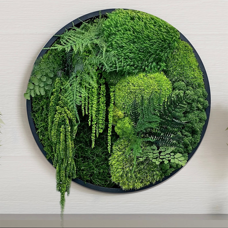 moss decorations real natural moss wall art frame natural moss wall art frame for home office decor