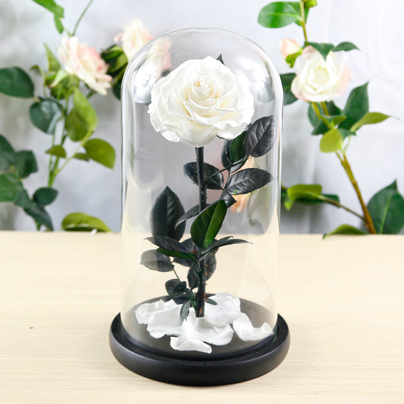 Tendecias 2023 rosa eterna rose eternelle dome verre led valentine gifts preserved rose in glass gift box