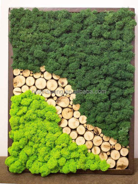 moss decorations real natural moss wall art frame natural moss wall art frame for home office decor