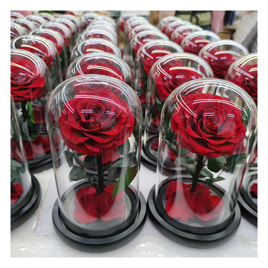 Tendecias 2023 rosa eterna rose eternelle dome verre led valentine gifts preserved rose in glass gift box