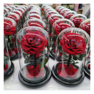 Tendecias 2023 rosa eterna rose eternelle dome verre led valentine gifts preserved rose in glass gift box