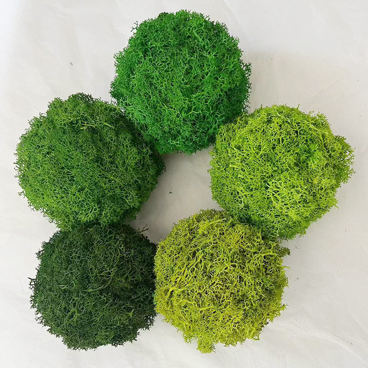 eco-friendly natural preserved reindeer moss artificial moss ball wholesale decor moss ball