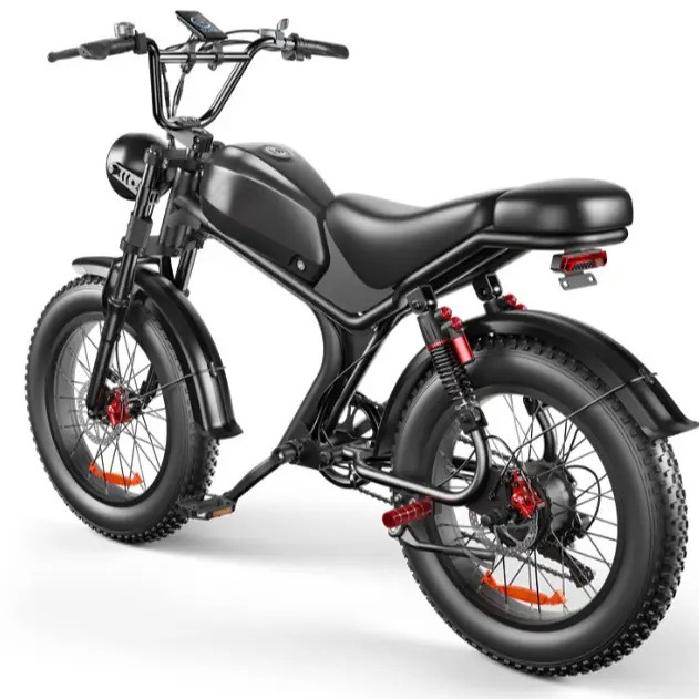 Wholesale C93 48V 1000w fat tire ebike fat wheels moped motorcycles mobility mountain adult electric bike