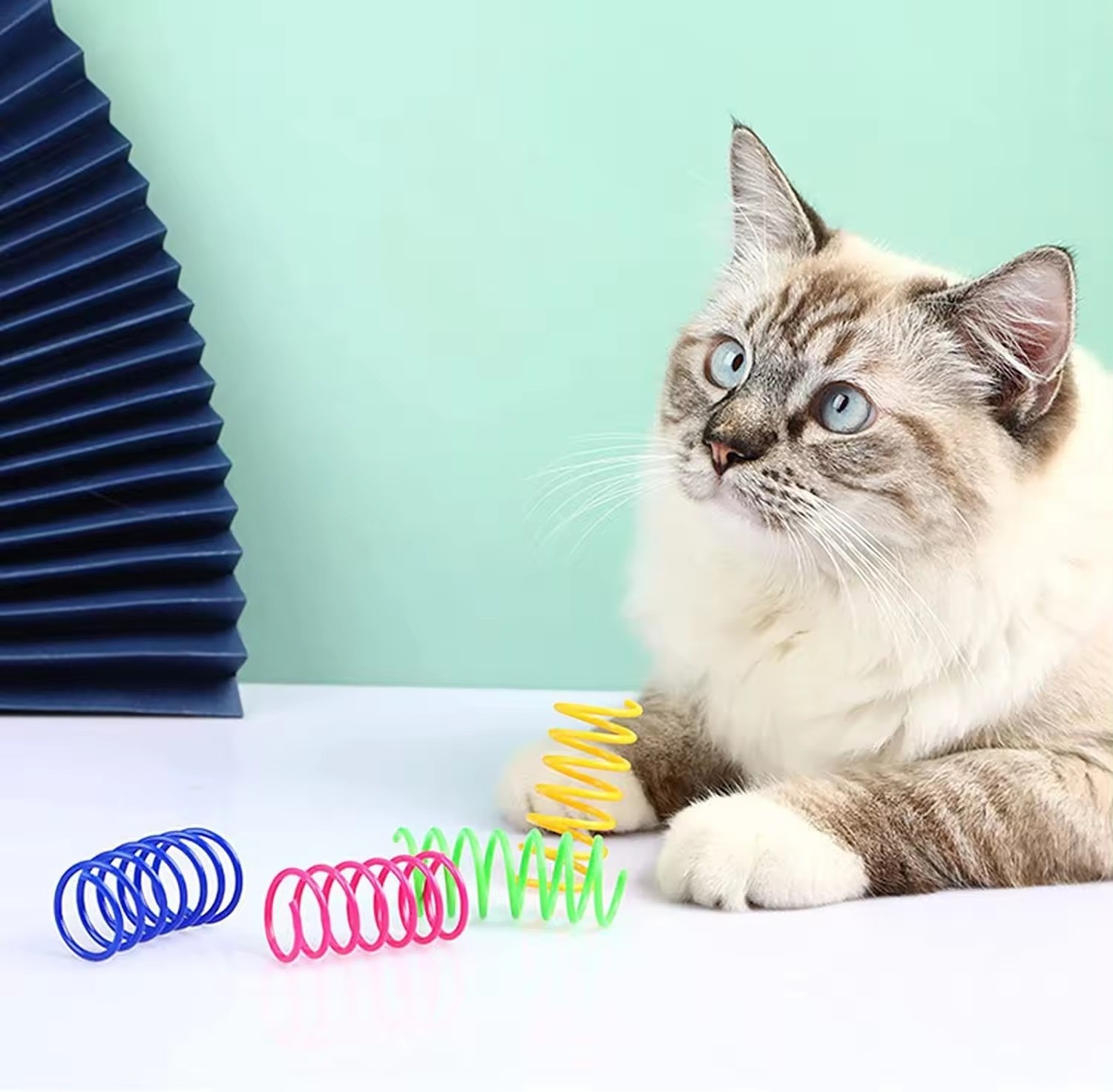 2024 New Popular Teasing Cat Toy Colorful Spiral spring Fun Interactive Training Self-excited Amusement pet cat toys