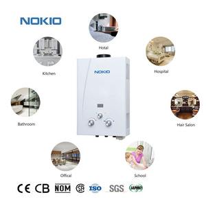 Competitive Price Instant Portable Tankless Flue Gas Water Heater For Indoor