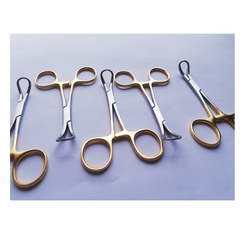 Backhaus Towel Forceps Curved /Towel Clamps