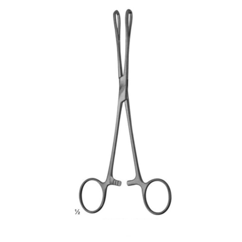 sponge holder forceps