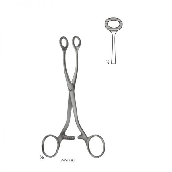 sponge holder forceps