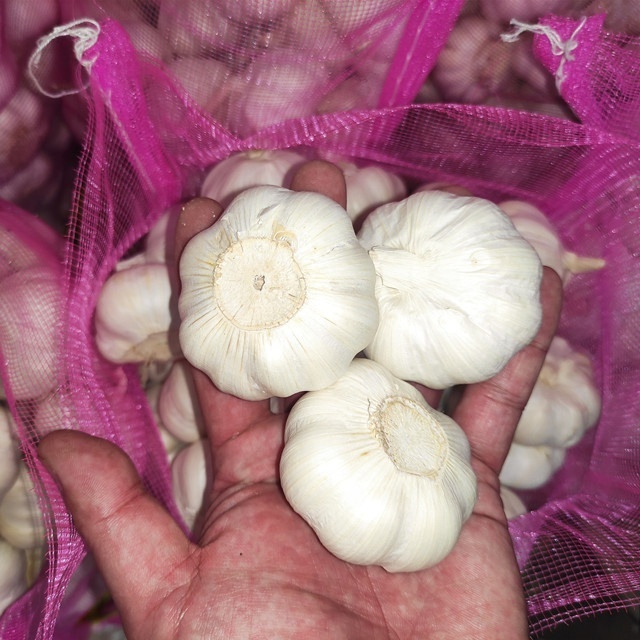 Ajo Chino  High Quality Fresh White Garlic  Garlic Wholesale Fresh Garlic