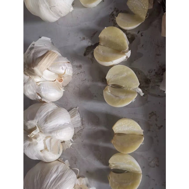 New Crop Chinese 5cm+ Normal Ajo Chino White Garlic High Quality Fresh Garlic Manufacture For Sale