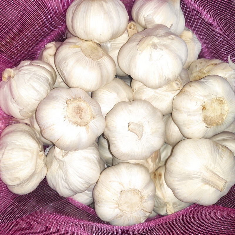 New Crop Chinese 5cm+ Normal Ajo Chino White Garlic High Quality Fresh Garlic Manufacture For Sale