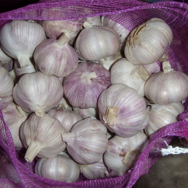 Ajo Chino  High Quality Fresh White Garlic  Garlic Wholesale Fresh Garlic