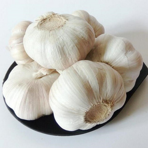 New Crop Chinese 5cm+ Normal Ajo Chino White Garlic High Quality Fresh Garlic Manufacture For Sale