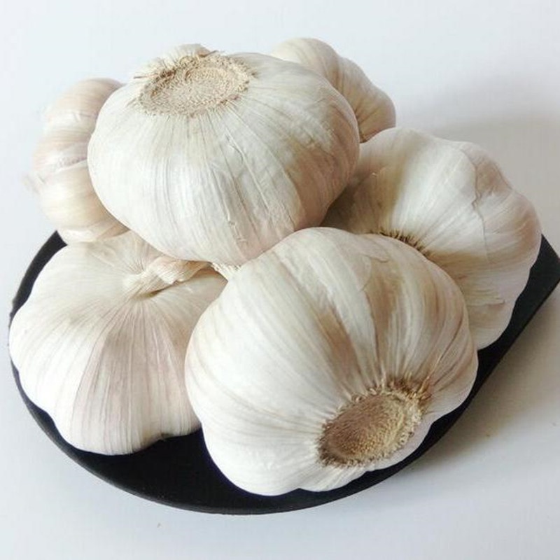 Ajo Chino  High Quality Fresh White Garlic  Garlic Wholesale Fresh Garlic