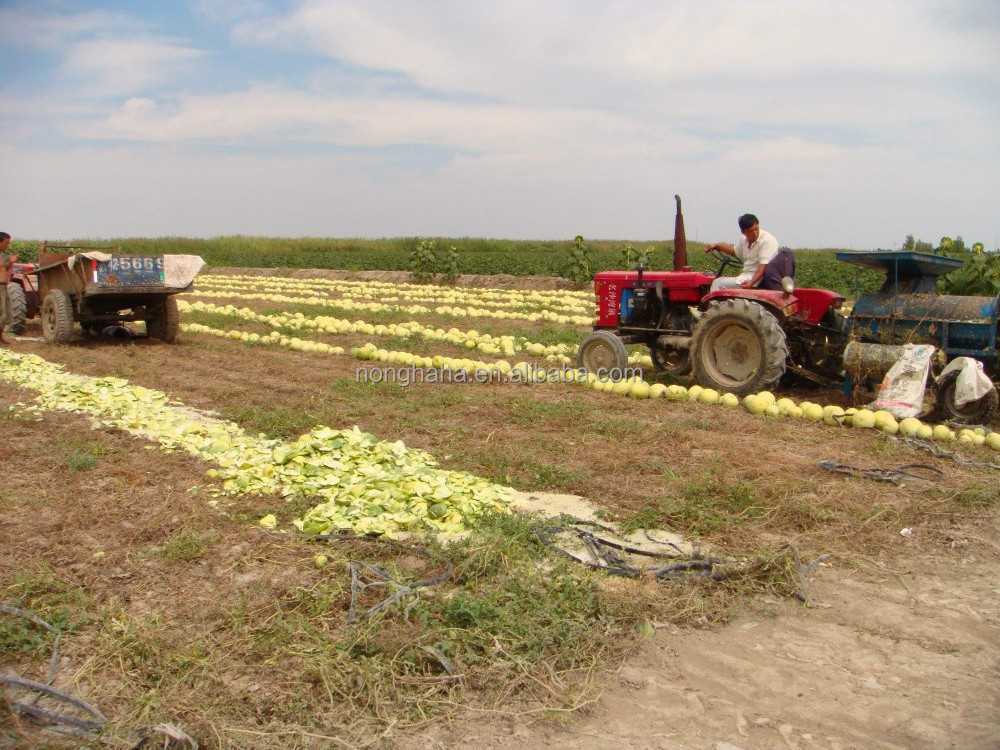 Hot sale Nonghaha Brand 5TGH-300 watermelon seeds extractor/harvester in high working efficiency