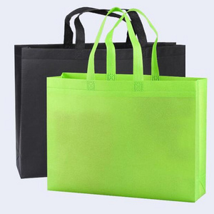 Factory Supply Biodegradable Reusable Non Woven Fabric Carry Bag Pp Promotional Non Woven Bag Manufacturer In China