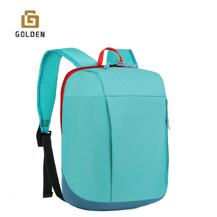 Golden Direct Sales Reasonable Price Pet Carrier Foldable Backpack Reflective Hiking Backpack Bag For Men Duffel Bag Backpack