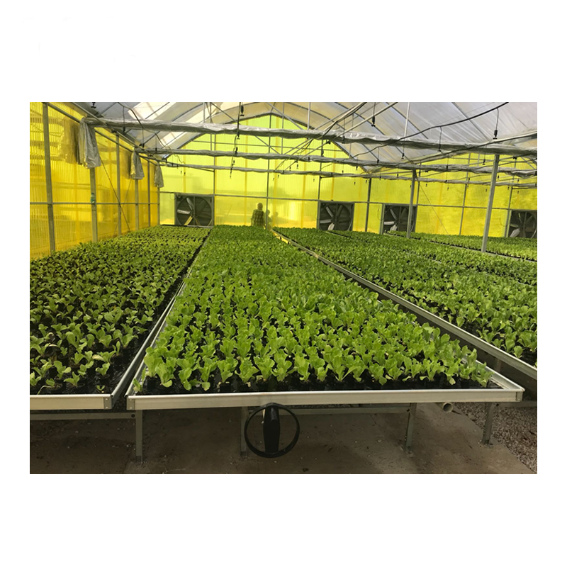 Agriculture Greenhouse Movable Rolling Bench Ebb and Flow Flood Tray Rolling Benches and Table 4X8 FT