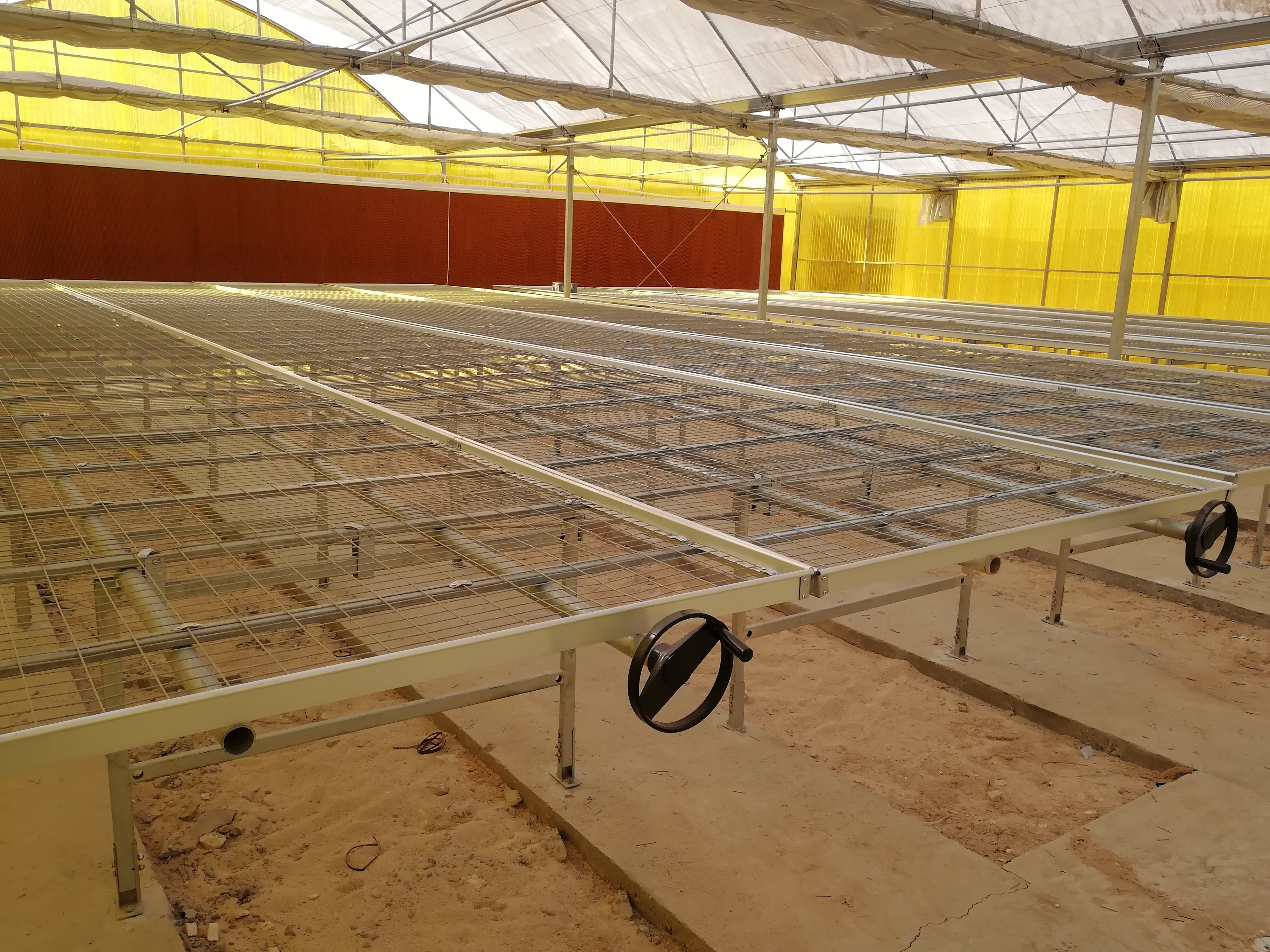 Agriculture Greenhouse Movable Rolling Bench Ebb and Flow Flood Tray Rolling Benches and Table 4X8 FT