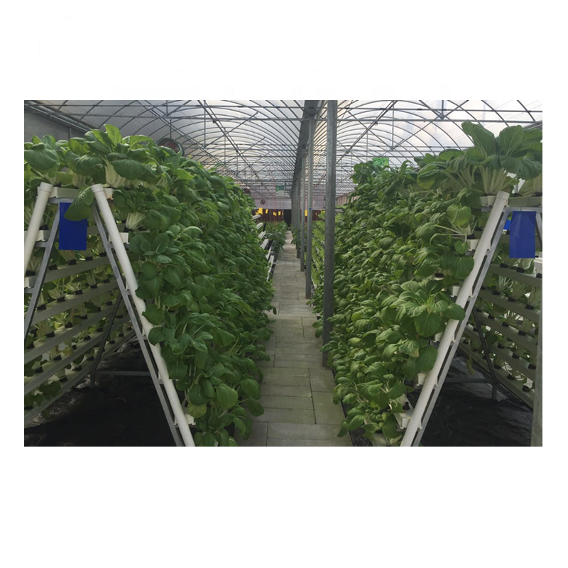 Customized Commercial Hydroponics Vertical Grow System for Greenhouse City Farm