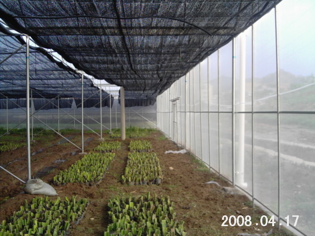 UV Resistant HDPE Sun Shade Net Agriculture Greenhouse Shading House