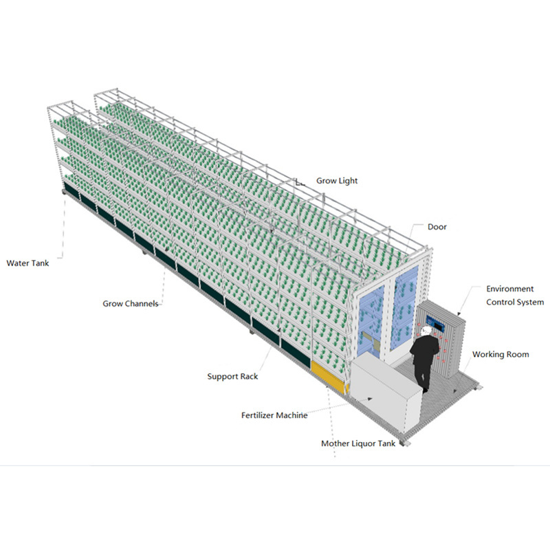 Hydroponics Growing Farm Container 20'/40' ft For Microgreen/Lettuce/Medical Plant