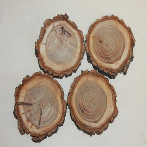 Wooden Coasters Set of 4 Wooden Slices Table Decor Drink Coasters